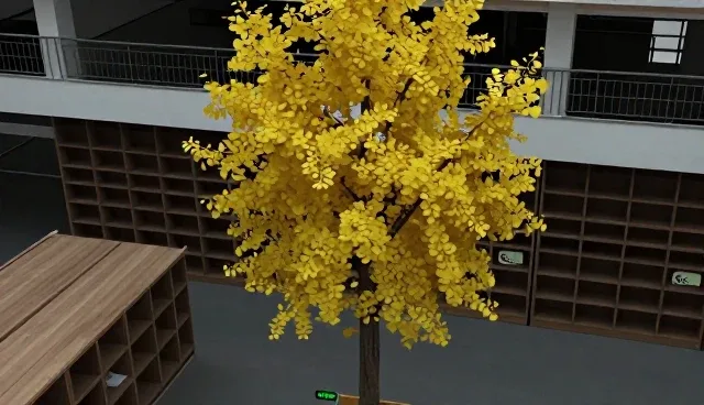 银杏树种植成活率误区与科学维护方法